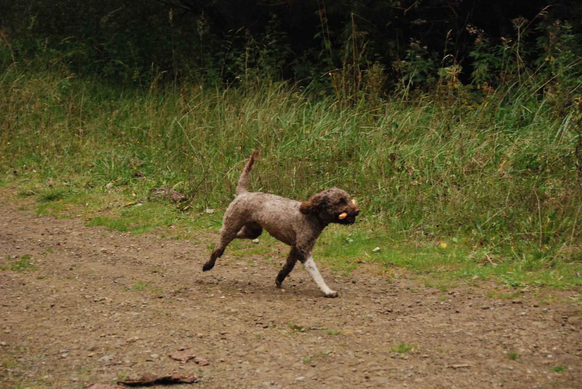 2009-10-03_ntb_0015