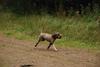 2009-10-03_ntb_0015