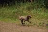 2009-10-03_ntb_0016