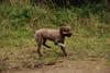 2009-10-03_ntb_0019