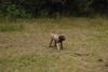 2009-10-03_ntb_0021