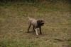 2009-10-03_ntb_0022