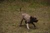 2009-10-03_ntb_0023
