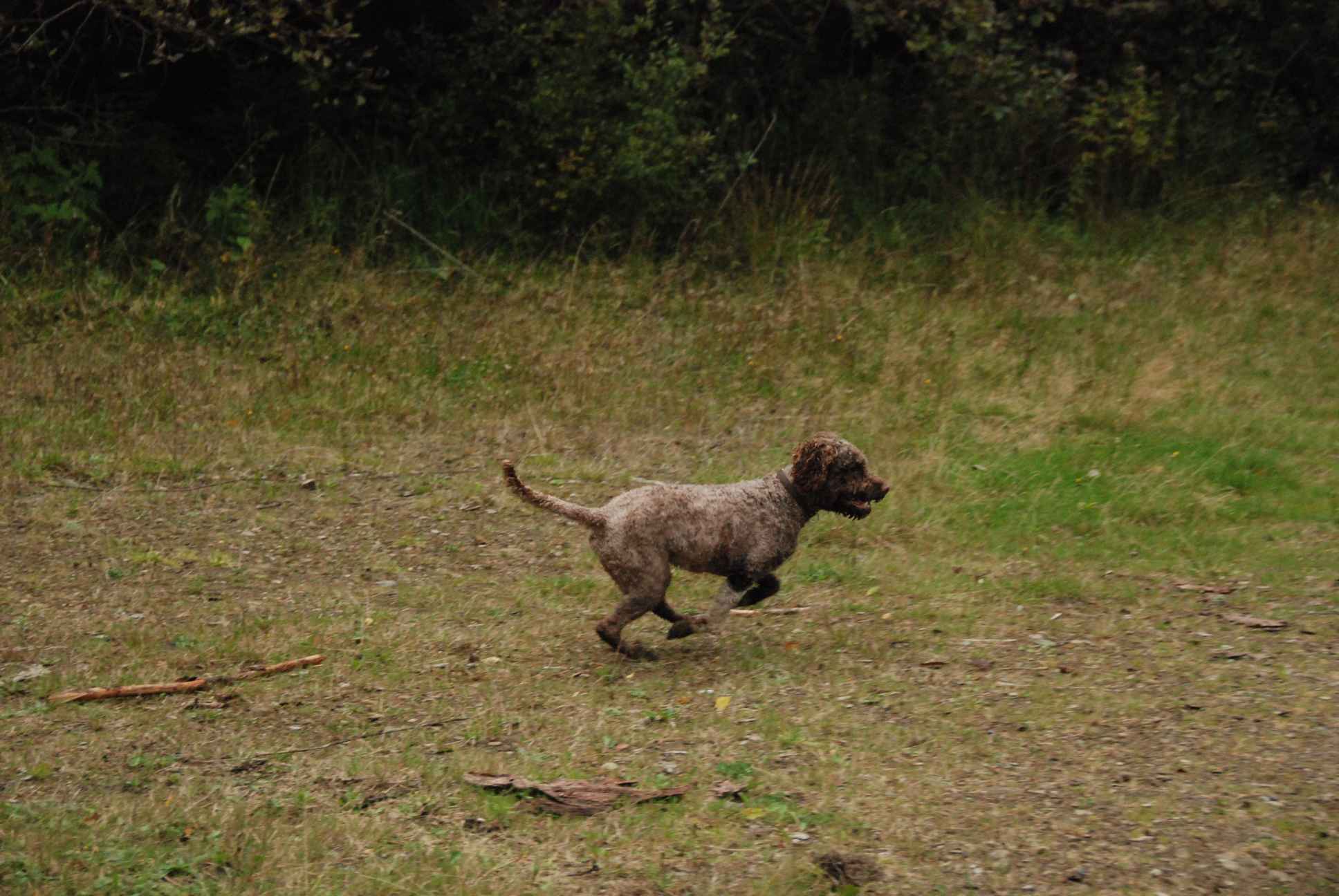 2009-10-03_ntb_0024