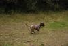 2009-10-03_ntb_0024