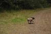 2009-10-03_ntb_0025