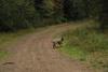 2009-10-03_ntb_0026
