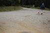 2009-10-03_ntb_0028