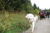 2009-10-03_ntb_0031