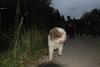 2009-10-03_ntb_0032