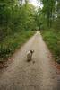 2009-10-03_ntb_0035