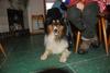 2009-10-03_ntb_0044
