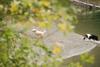 2009-10-03_ntb_9269