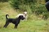 2009-10-03_ntb_9272