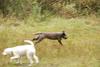 2009-10-03_ntb_9273