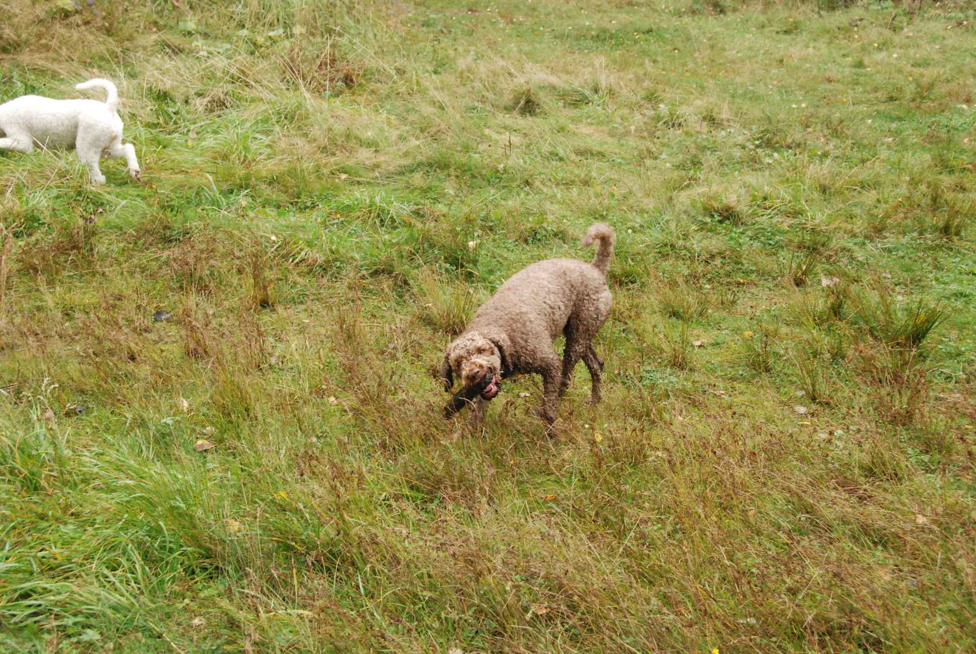 2009-10-03_ntb_9275