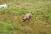 2009-10-03_ntb_9275