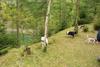 2009-10-03_ntb_9276