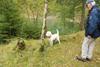 2009-10-03_ntb_9277