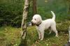 2009-10-03_ntb_9278