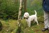 2009-10-03_ntb_9279