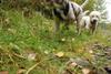 2009-10-03_ntb_9281