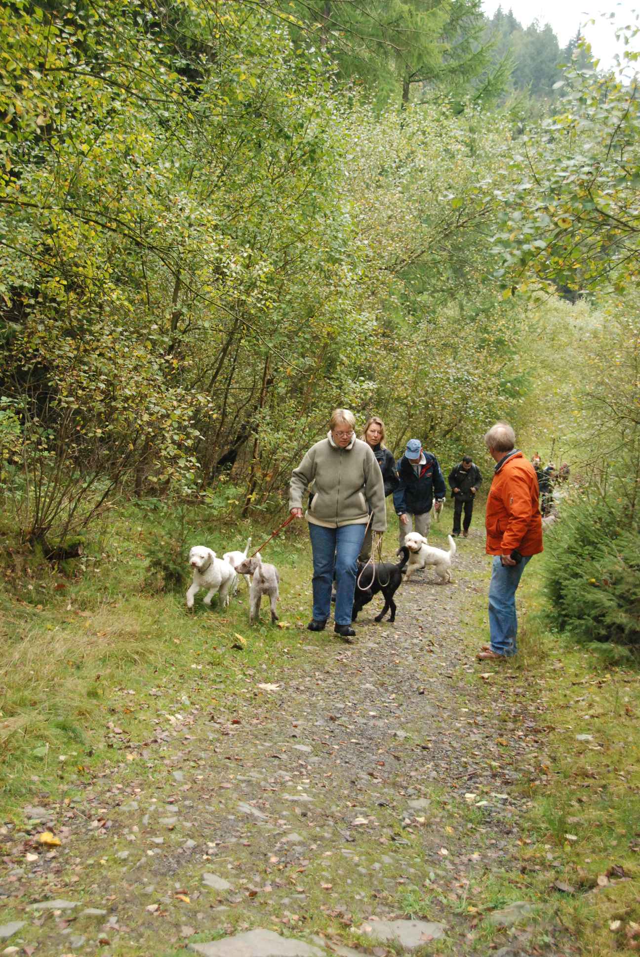 2009-10-03_ntb_9282