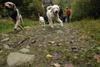 2009-10-03_ntb_9285
