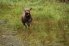 2009-10-03_ntb_9286