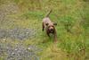 2009-10-03_ntb_9288