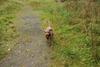 2009-10-03_ntb_9289