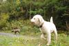 2009-10-03_ntb_9290