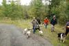 2009-10-03_ntb_9291