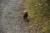 2009-10-03_ntb_9297