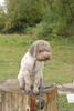 2009-10-03_ntb_9306
