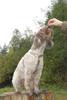 2009-10-03_ntb_9307