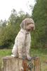 2009-10-03_ntb_9308