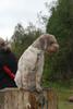 2009-10-03_ntb_9310