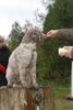 2009-10-03_ntb_9311
