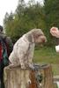 2009-10-03_ntb_9313