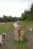 2009-10-03_ntb_9315