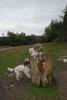 2009-10-03_ntb_9316