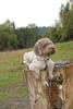 2009-10-03_ntb_9317