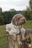 2009-10-03_ntb_9318