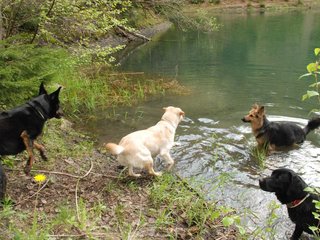 2010-05-22_ntb_8702