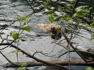 2010-05-22_ntb_8704