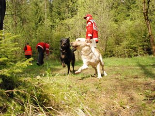 2010-05-22_ntb_8706
