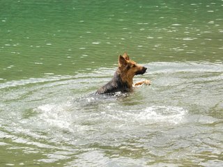2010-05-22_ntb_8708