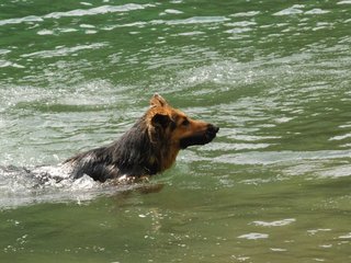 2010-05-22_ntb_8715