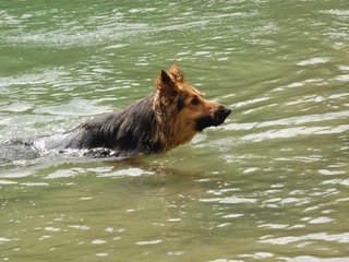 2010-05-22_ntb_8716